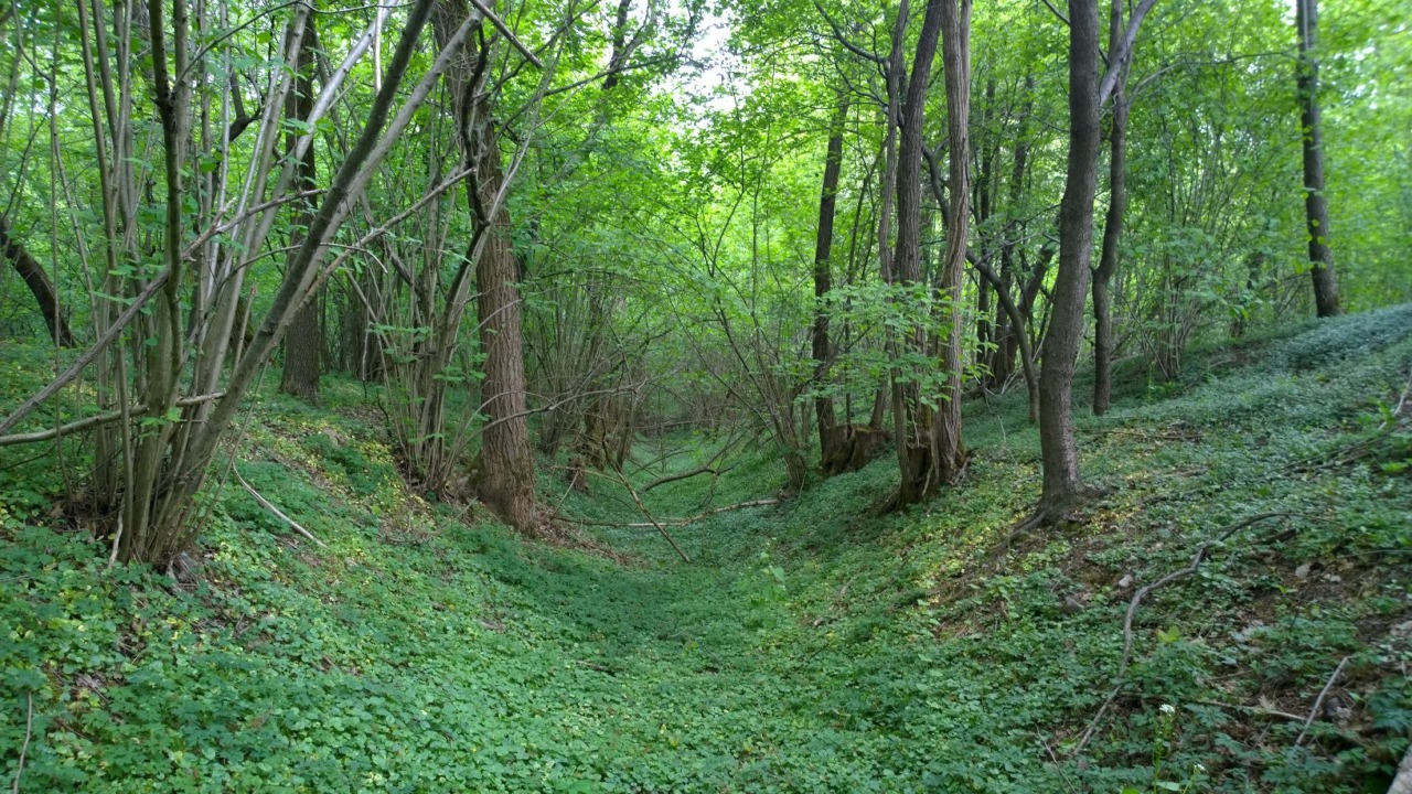 Annunciata la 14.a edizione della “Maratonina del Rugareto”