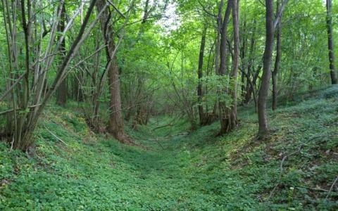 Annunciata la 14.a edizione della “Maratonina del Rugareto”