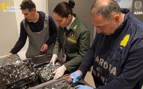 Arrestata una cittadina statunitense con 17 kg di marijuana all’aeroporto di Malpensa