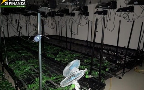 Azienda cosmetici si rivela serra per Marijuana
