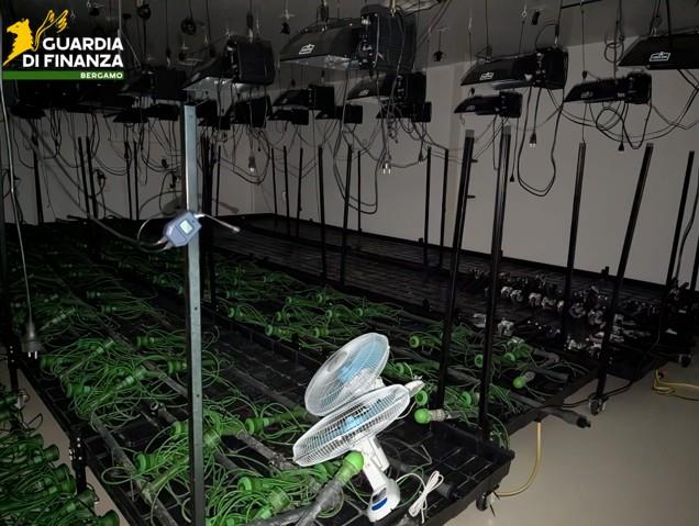 Azienda cosmetici si rivela serra per Marijuana