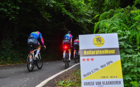 Ci siamo: 100 giorni alla Varese Van Vlaanderen