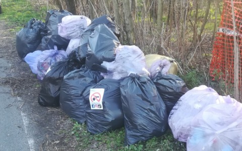 Giornata di volontariato ecologico al Parco dei Mughetti