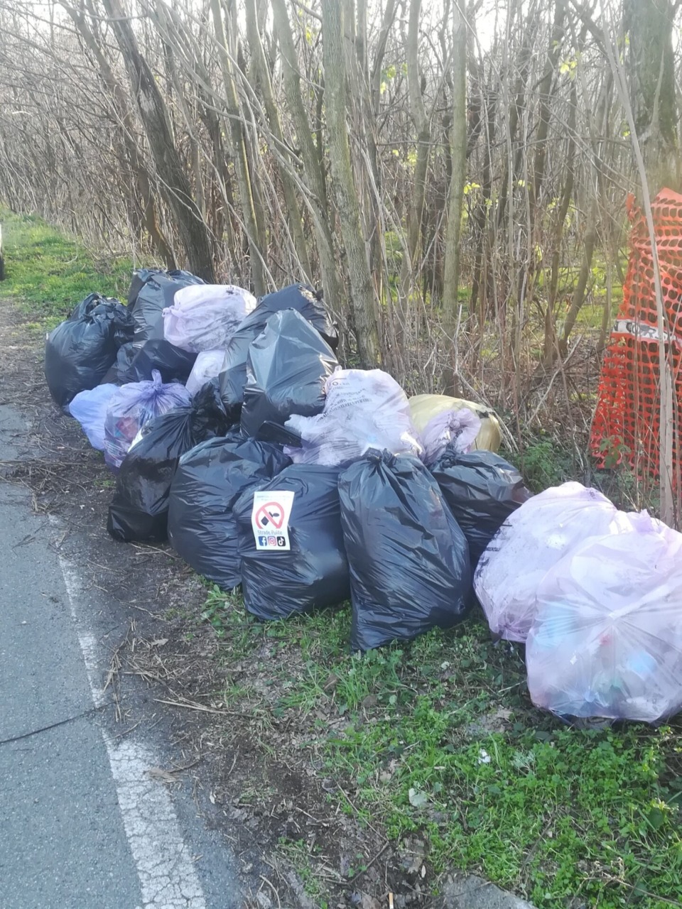 Giornata di volontariato ecologico al Parco dei Mughetti