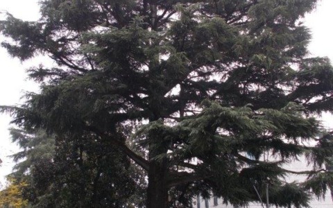 Interruzione notturna della Sp 30 nel Comune di Lomazzo