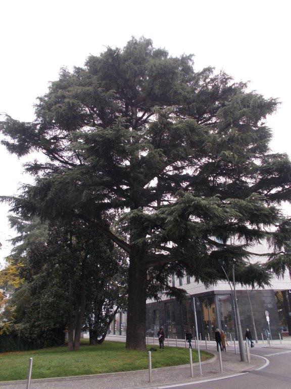 Interruzione notturna della Sp 30 nel Comune di Lomazzo