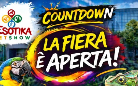 La Fiera Nazionale degli Animali Esotici e da Compagnia a Busto Arsizio