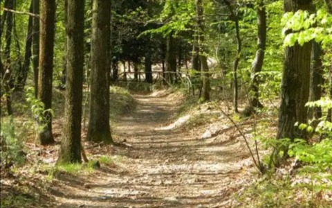 Un incontro sulla fauna selvatica e la sicurezza stradale