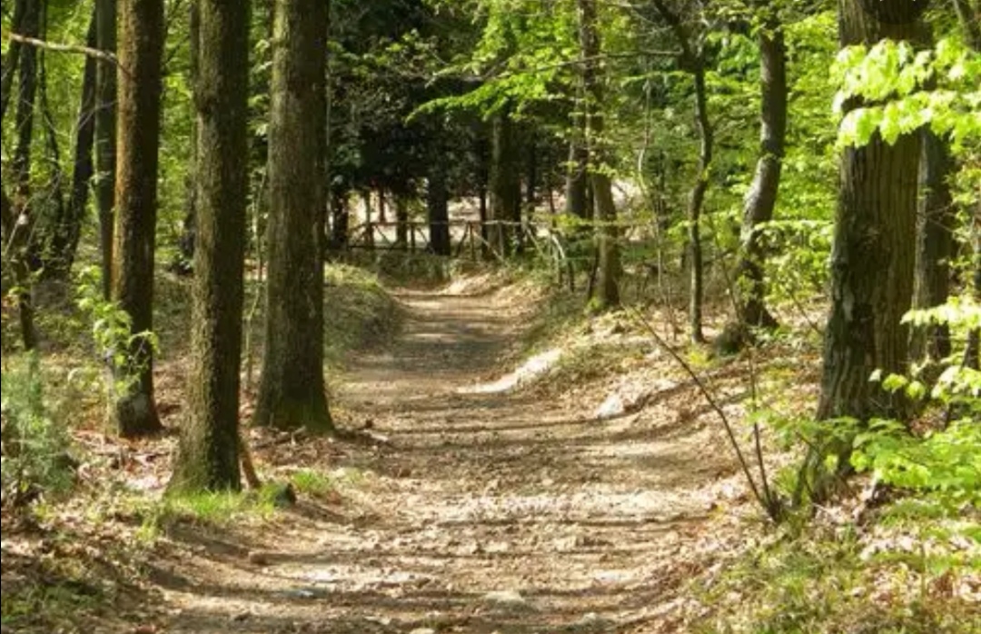 Un incontro sulla fauna selvatica e la sicurezza stradale
