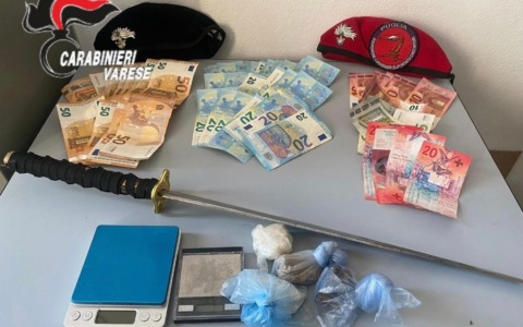 Arrestati due spacciatori nel Parco Pineta di Castiglione Olona