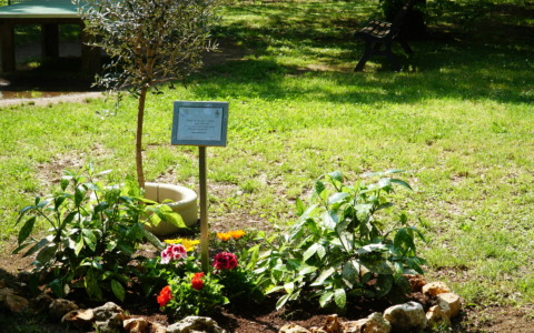 Inaugurata una targa in memoria di suor Annunciata