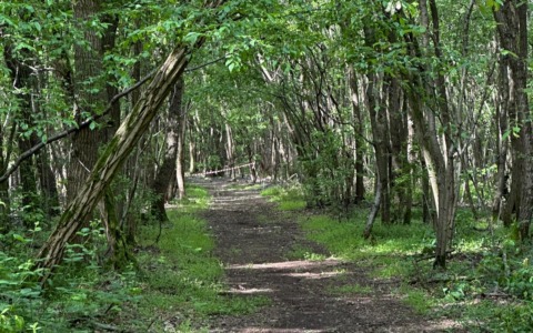 La Mezza dei Boschi ritorna a Cascina Leva