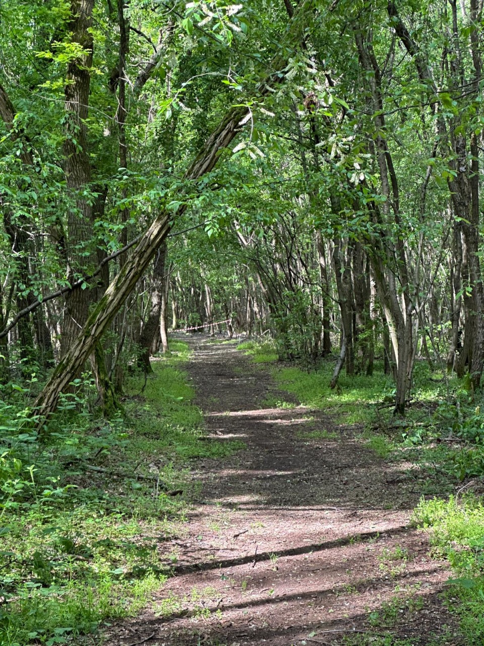La Mezza dei Boschi ritorna a Cascina Leva