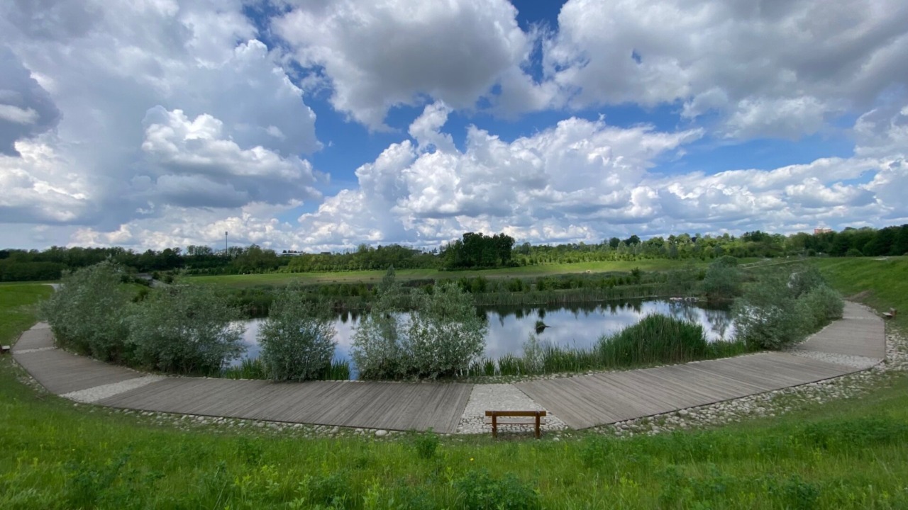 Osservazione di uccelli migratori e nidificanti