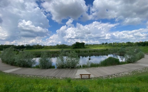 Osservazione di uccelli migratori e nidificanti