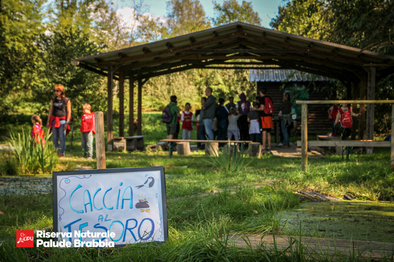 Pasquetta all’Oasi Palude Brabbia: un’esperienza immersiva nella natura