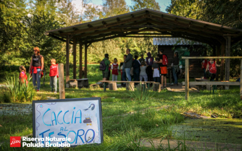 Pasquetta all’Oasi Palude Brabbia: un’esperienza immersiva nella natura