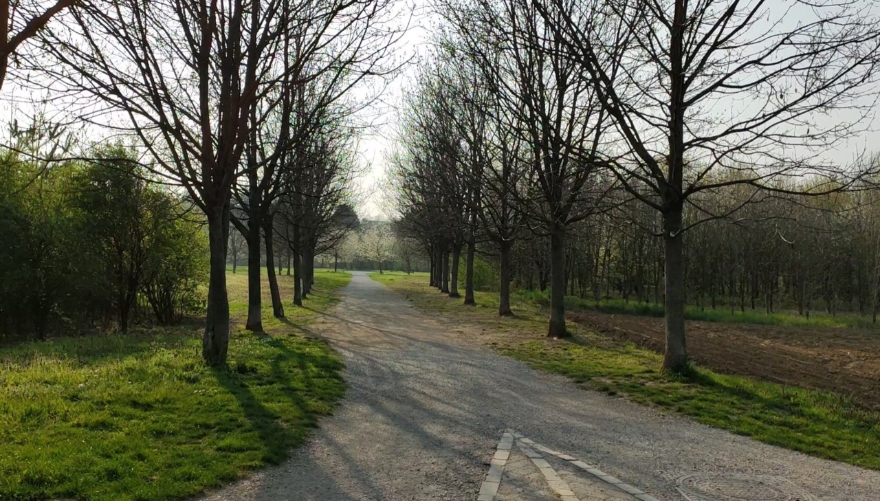Raduno non autorizzato al Parco Lura: musica fino all’alba