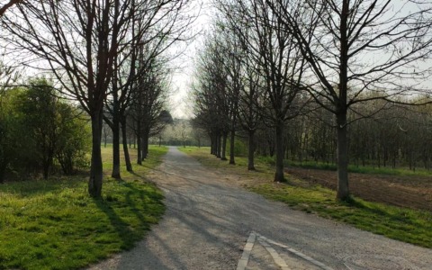 Raduno non autorizzato al Parco Lura: musica fino all’alba