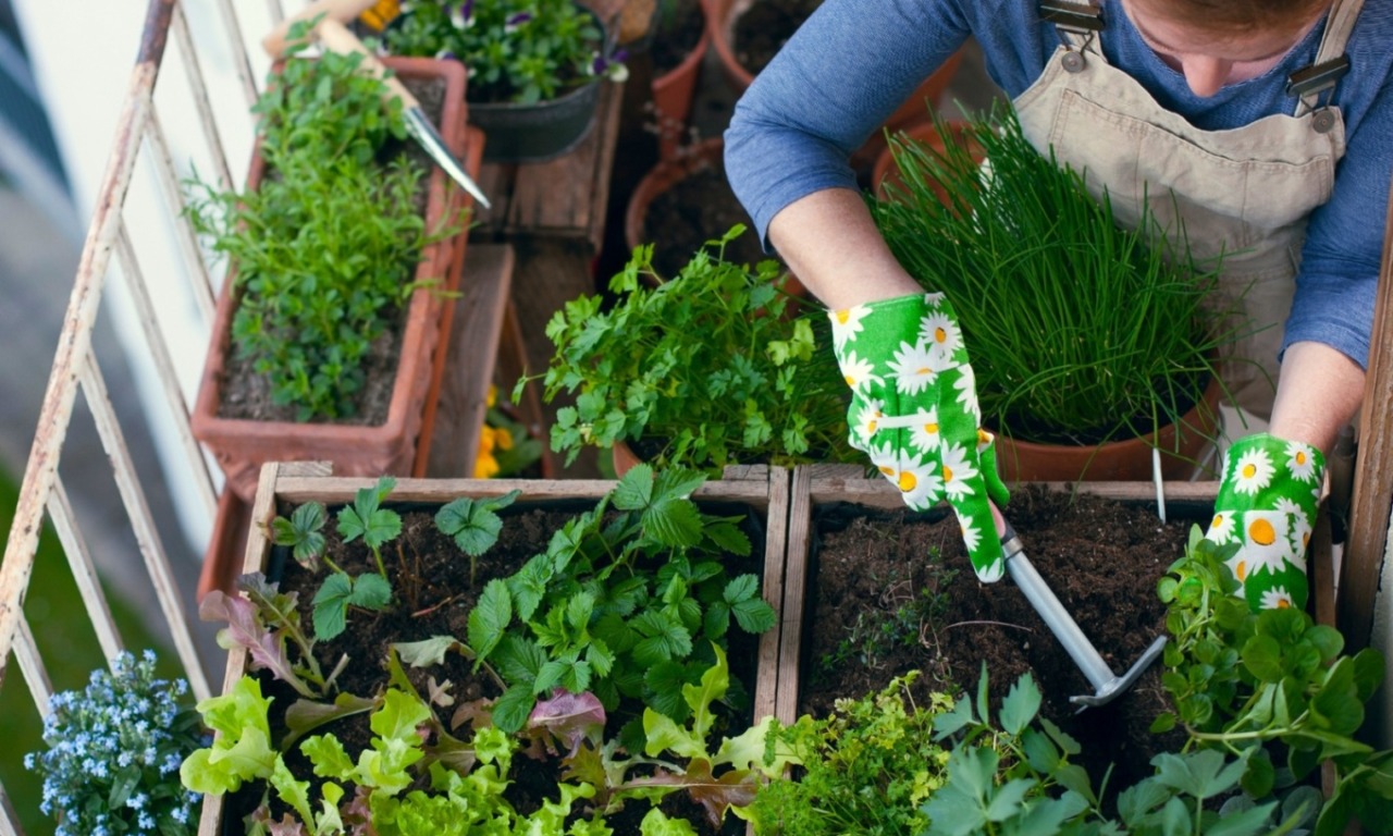 Riapre il bando per gli orti urbani «Coltiva il tuo spazio»