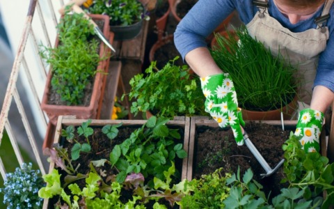 Riapre il bando per gli orti urbani «Coltiva il tuo spazio»