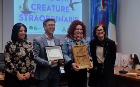 Riconoscimenti per il concorso “Rondoni in vetrina”