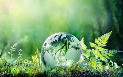 Varese Green Network 2026: aperta la call per progetti sulla sostenibilità