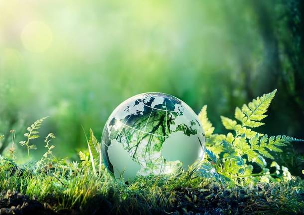Varese Green Network 2026: aperta la call per progetti sulla sostenibilità