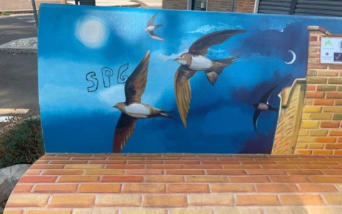 Domani il World Swift Day a Cislago
