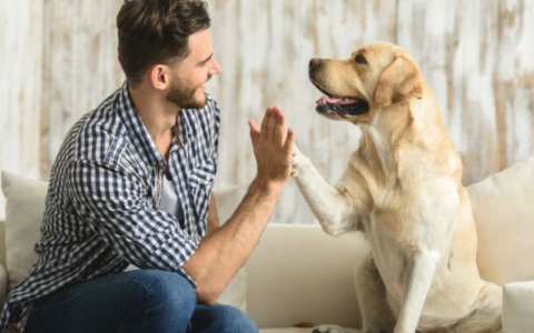 Celebra con noi la Giornata Internazionale del Cane: invia le tue foto