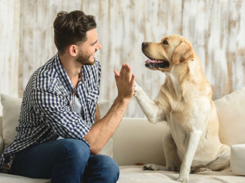 Celebra con noi la Giornata Internazionale del Cane: invia le tue foto