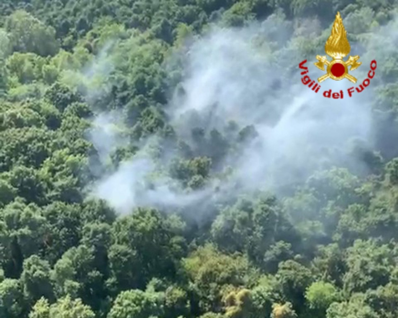Rischio incendi in provincia di Varese, Coldiretti lancia un appello alla prudenza