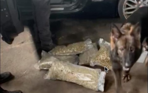 Smantellata rete di traffico di droga a Saronno: sequestrati 20 chili di cocaina
