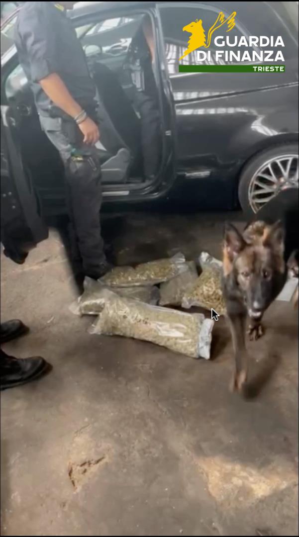 Smantellata rete di traffico di droga a Saronno: sequestrati 20 chili di cocaina