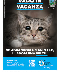 Il Comune di Lazzate sostiene la campagna Enpa contro l’abbandono degli animali